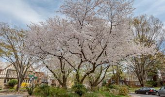 4421 VOLTA Pl NW, Washington, DC 20007