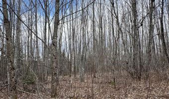 011-010 2 Monument Rd, Amity, ME 04471