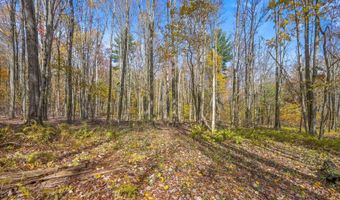 419 Algerine St, Afton, NY 13730