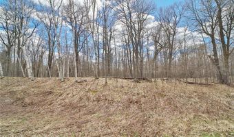 Tbd Pioneer Avenue, Aitkin, MN 56431