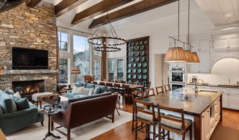 304 S Garmisch St, Aspen, CO 81611