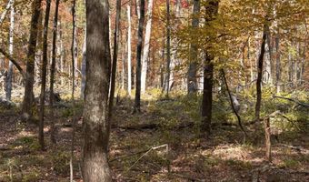 42 Nd St Rear Land, Allegan, MI 49010