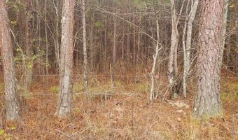 0 WOOD Ln 1, Ashville, AL 35953