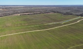 001 CR 532, Avalon, MS 38917