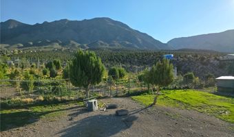 Bugling Bull Road, Cold Creek, NV 89124