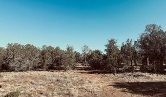 Terry Lane, Ash Fork, AZ 86046