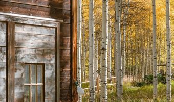 5387 Castle Creek Rd, Aspen, CO 81612