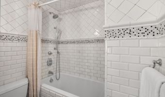 1041 Vine St, Aspen, CO 81611