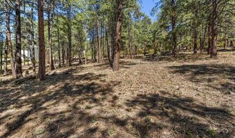 138 Green Ridge Dr, Bayfield, CO 81122