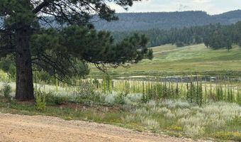 Whymans Black Lake Estates lot 39, Angel Fire, NM 87710