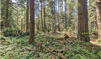 62955 E MOUNTAIN COUNTRY Ln, Brightwood, OR 97011