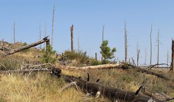 Pine Acres Rd, Bellvue, CO 80512