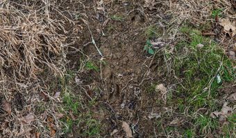 Smithtown Road, Afton, TN 37616
