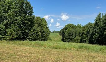 9891 Baskerville Rd, Baskerville, VA 23915