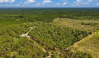 7000 NW 7th Way, Bell, FL 32619
