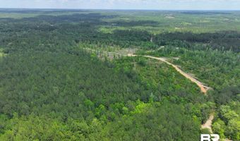 Sardis Church Road, Atmore, AL 36502