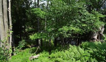 S Forest Lake, Alger, MI 48610