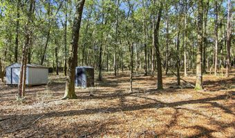 6108 Old River Rd, Baker, FL 32531