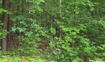 VAC Stony Gap Road, Albemarle, NC 28001