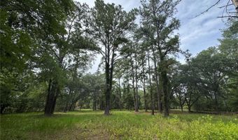 Tbd NW 67TH BOULEVARD, Alachua, FL 32615