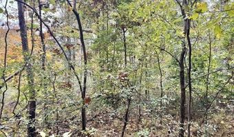 9156 Woodburn Allen Springs Rd, Alvaton, KY 42122