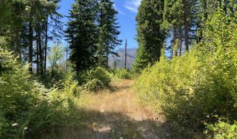 Blue River DR, Blue River, OR 97413