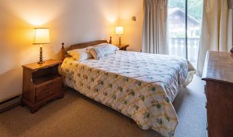 18-11 Bunker Ln, Bartlett, NH 03812