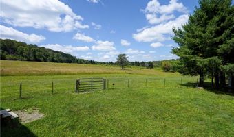 9085 Old State Rd, Angelica, NY 14709