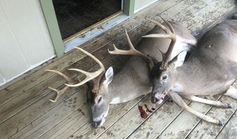 001 Farr Rd, Bolton, MS 39041