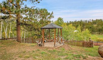 331 Bluebird Ln, Bailey, CO 80421