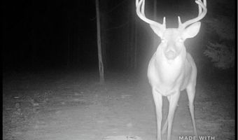 Highway 112, Abbeville, GA 31001