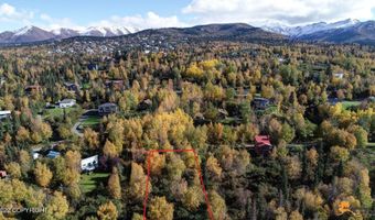 L10 Feodosia Drive, Anchorage, AK 99516