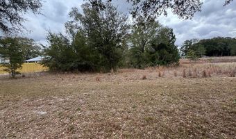 3581 Frederick Ave, Bell, FL 32619