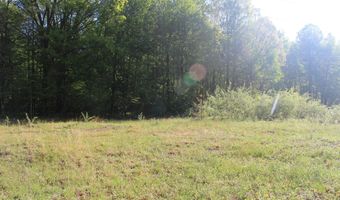 104 Th Ave, Allegan, MI 49010