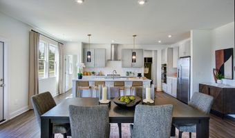295 Williams Grove Ln, Apex, NC 27523