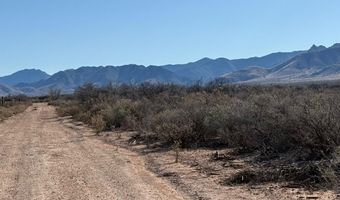 10 Ac W Bird Of Paradise Trl, Cochise, AZ 85606