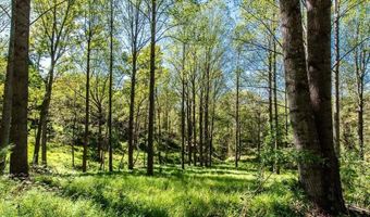 722 GREENFIELD MOUNTAIN FARM Lot 19 20 21 And 22, Afton, VA 22920
