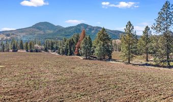 2068 ADDY-GIFFORD Rd, Addy, WA 99101