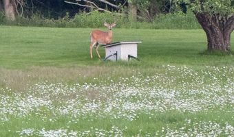 212 Long Rapids Rd, Alpena, MI 49707