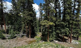 584 Camron Ln Lot 6, Breckenridge, CO 80424