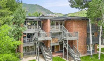 124 W Hyman Ave 3B, Aspen, CO 81611