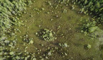 Goldenrod Drive, Barnwell, SC 29812
