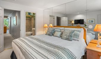 728 S Galena St 202-B, Aspen, CO 81611