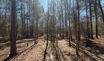 Bhl 10 Boise Cascade Bhl 10, Bethune, SC 29009