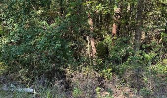 Lot 5 South Galaxie, Abbeville, AL 36310