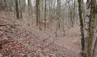 County Route 16, Angelica, NY 14709