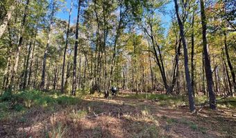 TBD Binnicker Bridge Road, Bamberg, SC 29003