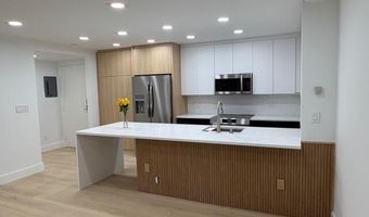 910 W Hallam St 12, Aspen, CO 81611