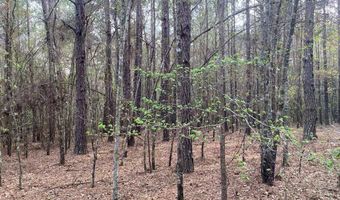 03 County Road 6650, Banks, AL 36005