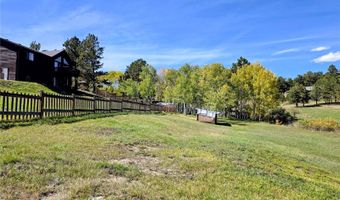 331 Bluebird Ln, Bailey, CO 80421